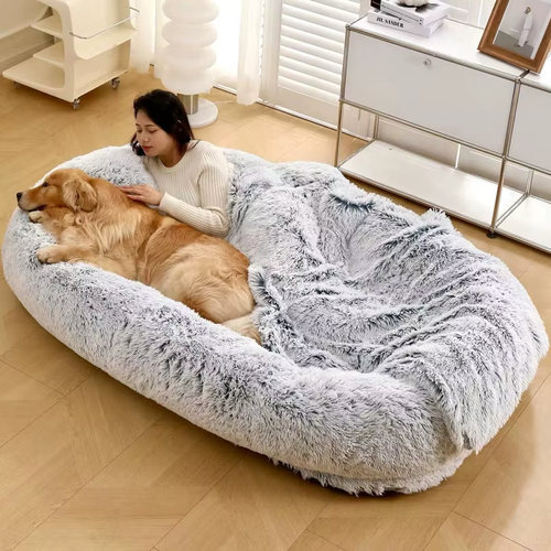 Companion Lounger Human Pet Bed | Premium Comfort Home & Lifestyle Product UK