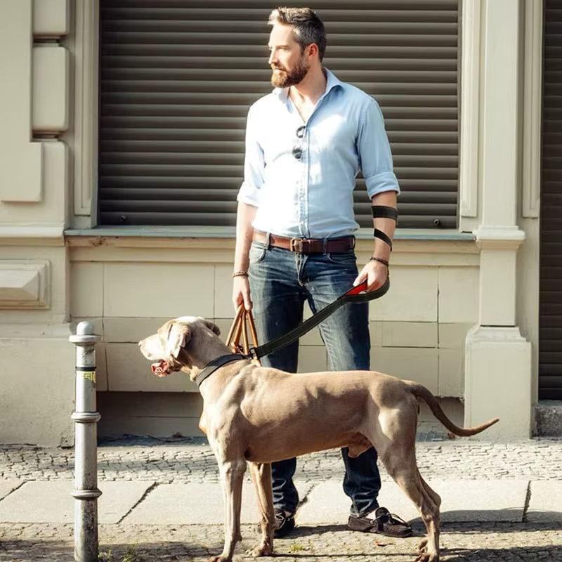 Heavy Duty Double Handle Dog Leash | Premium Comfort Home & Lifestyle Product UK