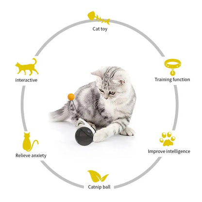 Self Rotating Toy Ball | Premium Comfort Home & Lifestyle Product UK