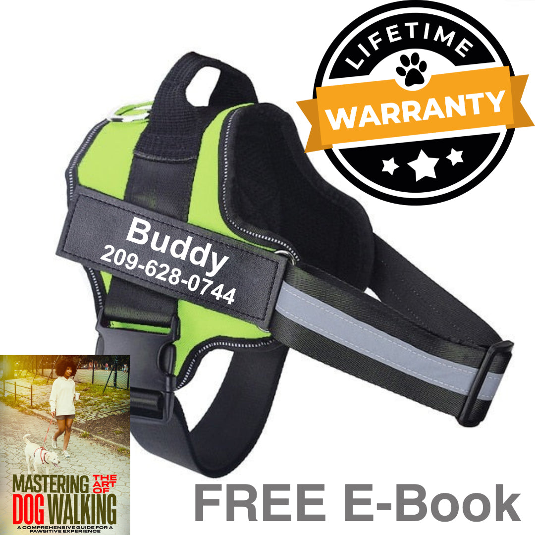 Personalized No Pull Dog Harness | Premium Comfort Home & Lifestyle Product UK