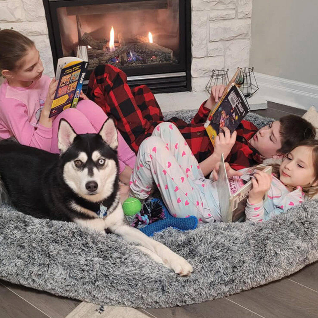 Companion Lounger Human Pet Bed | Premium Comfort Home & Lifestyle Product UK