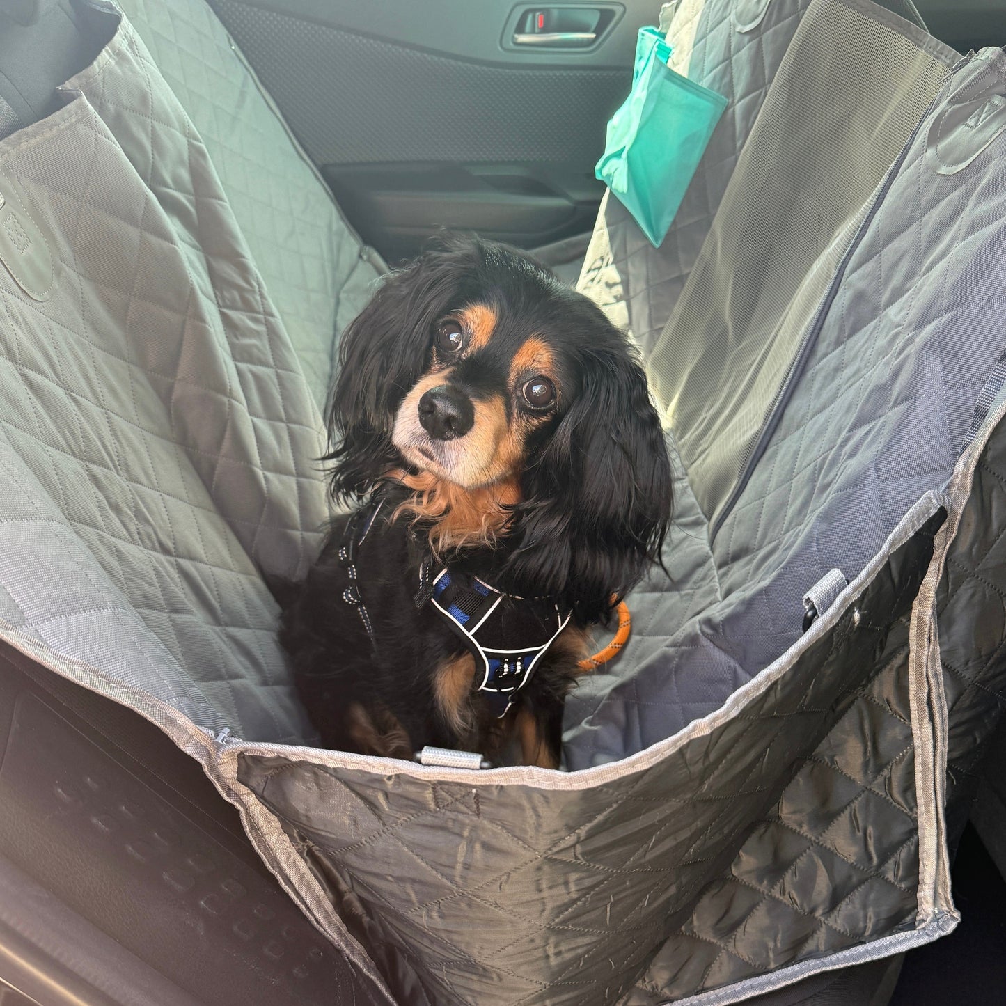 Ultimate Dog Travel Hammock | Premium Comfort Home & Lifestyle Product UK