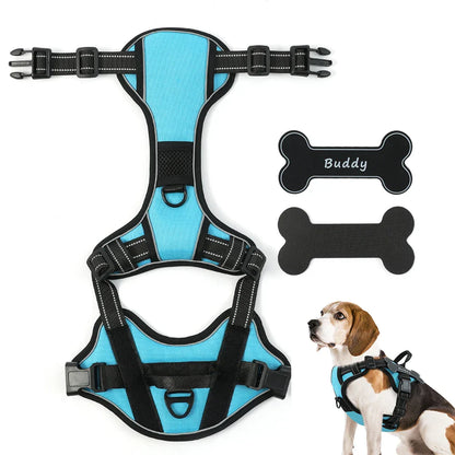 Personalized Canine Comfort Harness | Premium Comfort Home & Lifestyle Product UK