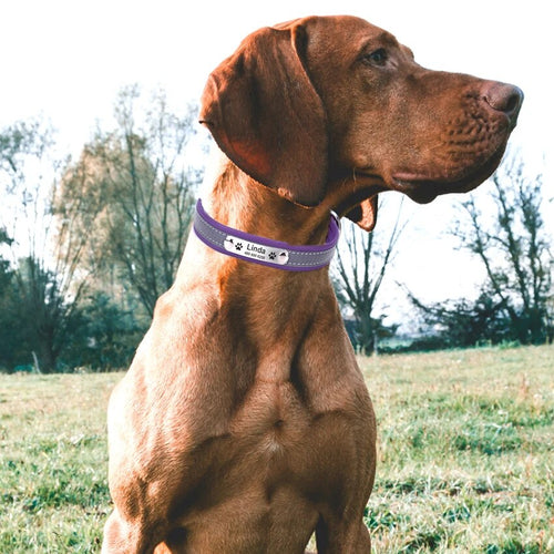 Personalized Leather Reflective Dog Collar | Premium Comfort Home & Lifestyle Product UK