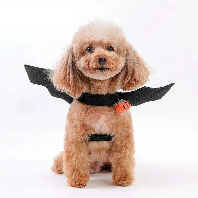 Halloween Bat Wings | Premium Comfort Home & Lifestyle Product UK