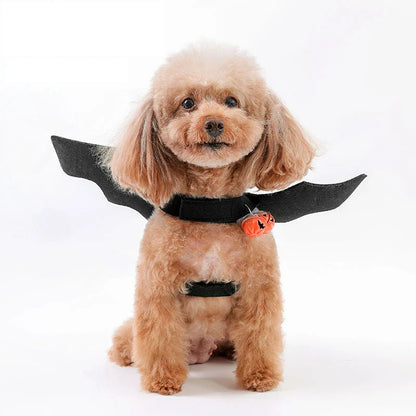 Halloween Bat Wings | Premium Comfort Home & Lifestyle Product UK