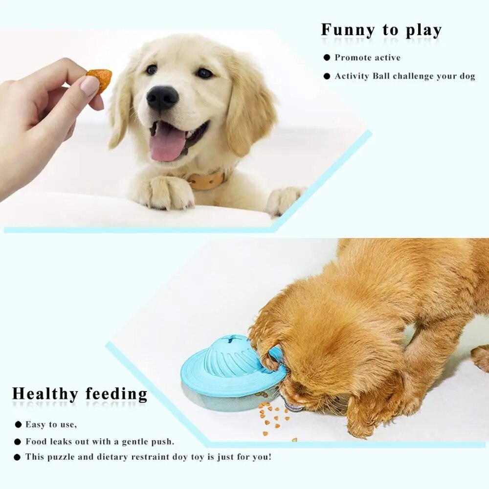 Flying Disk Feeder Toy | Premium Comfort Home & Lifestyle Product UK
