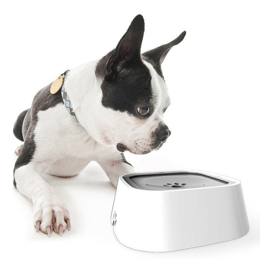 Pet No Spill Water Bowl | Premium Comfort Home & Lifestyle Product UK