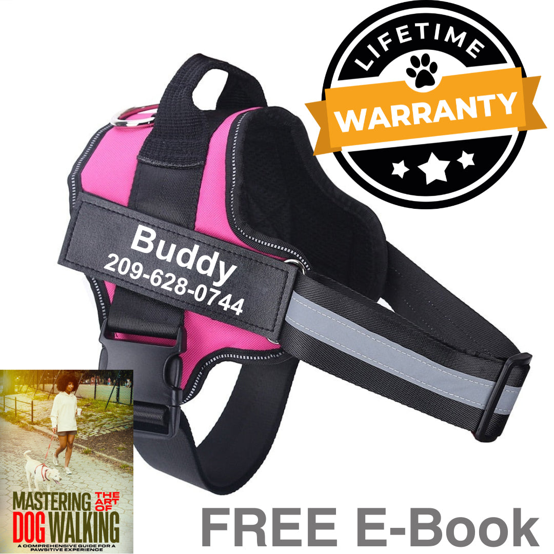 Personalized No Pull Dog Harness | Premium Comfort Home & Lifestyle Product UK