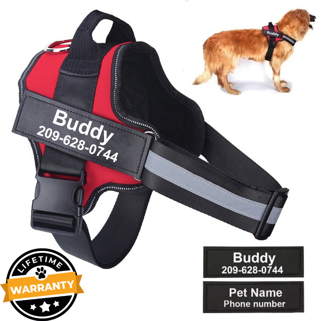 Personalized No Pull Dog Harness | Premium Comfort Home & Lifestyle Product UK