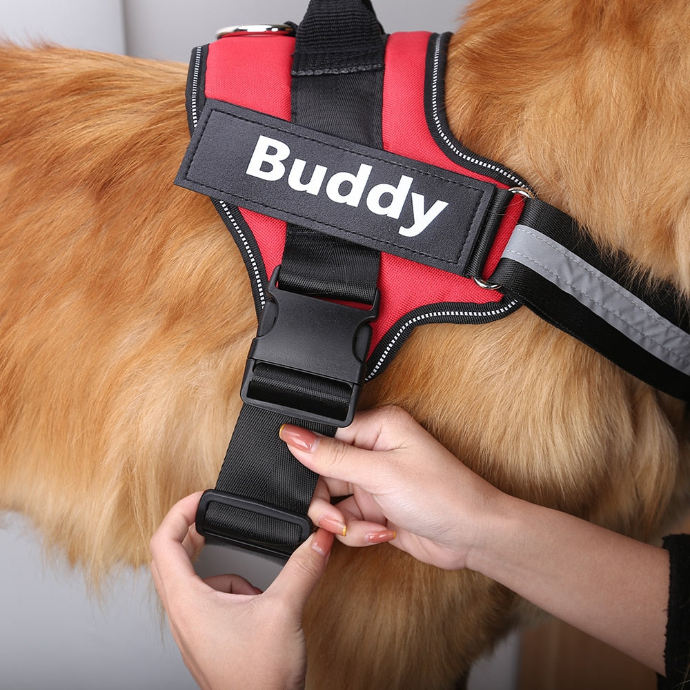 Personalized No Pull Dog Harness | Premium Comfort Home & Lifestyle Product UK