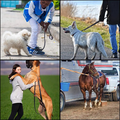 Heavy Duty Double Handle Dog Leash | Premium Comfort Home & Lifestyle Product UK