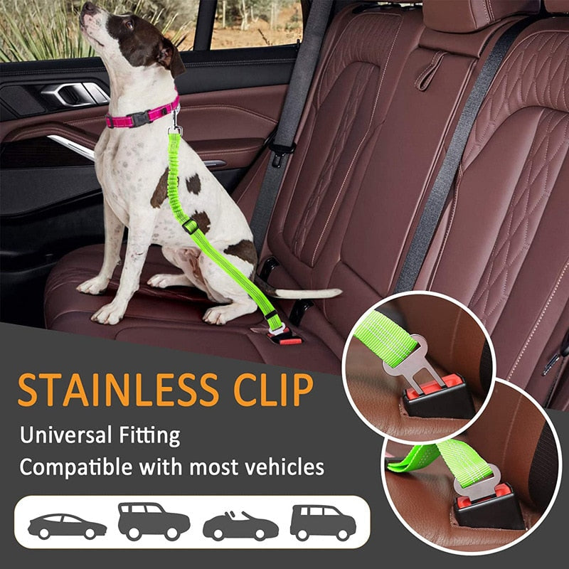 Pet Seat Belt Leash | Premium Comfort Home & Lifestyle Product UK