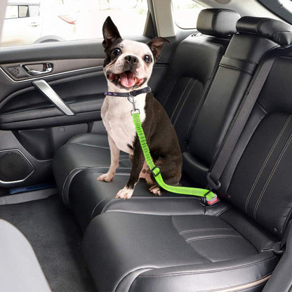 Pet Seat Belt Leash | Premium Comfort Home & Lifestyle Product UK