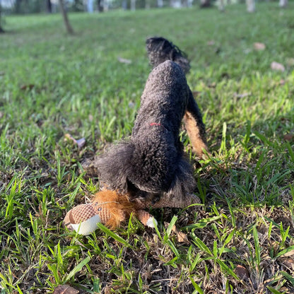 Buddy Dog Toy | Premium Comfort Home & Lifestyle Product UK