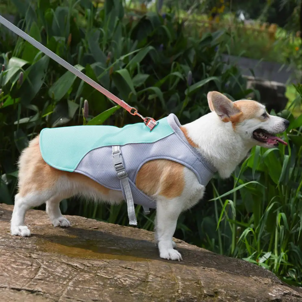 Summer Dog Cooling Vest | Premium Comfort Home & Lifestyle Product UK