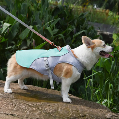 Summer Dog Cooling Vest | Premium Comfort Home & Lifestyle Product UK