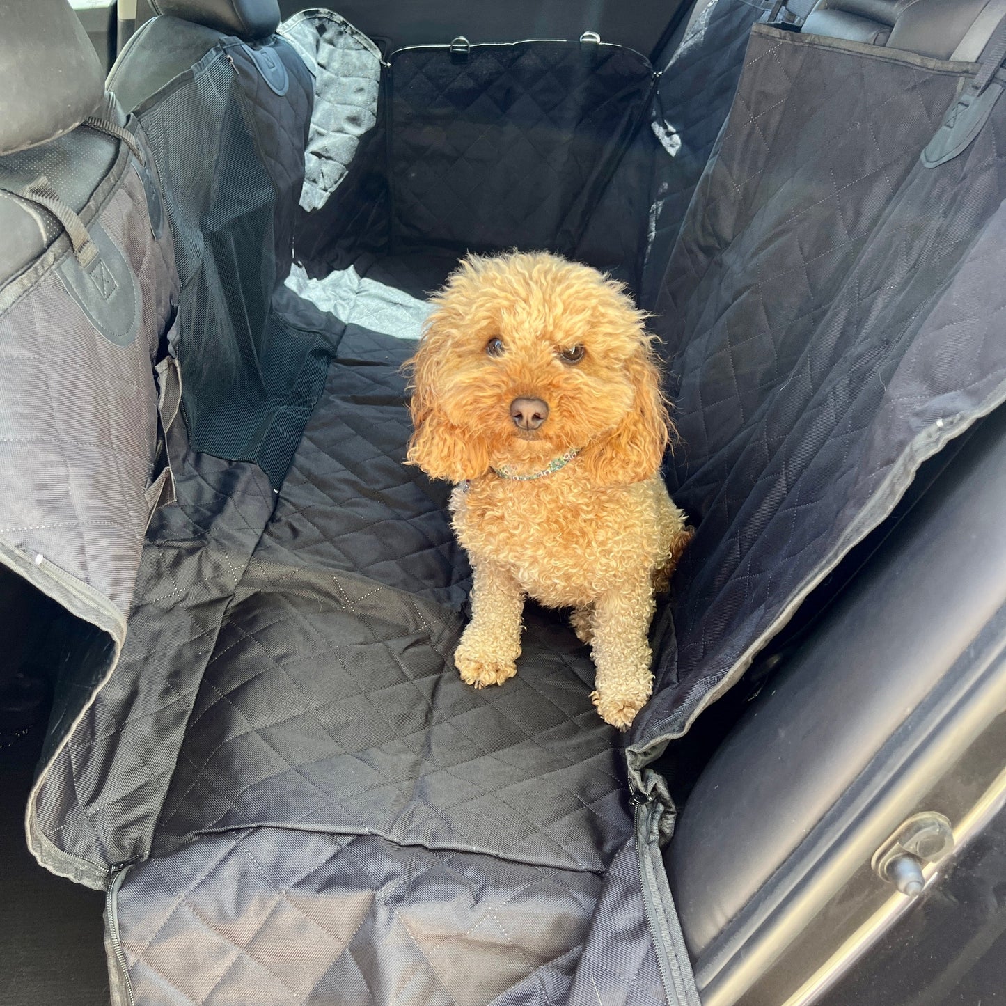 Ultimate Dog Travel Hammock | Premium Comfort Home & Lifestyle Product UK