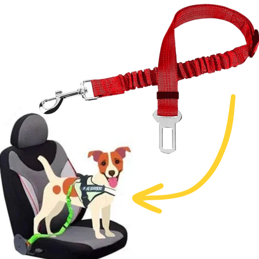 Pet Seat Belt Leash | Premium Comfort Home & Lifestyle Product UK