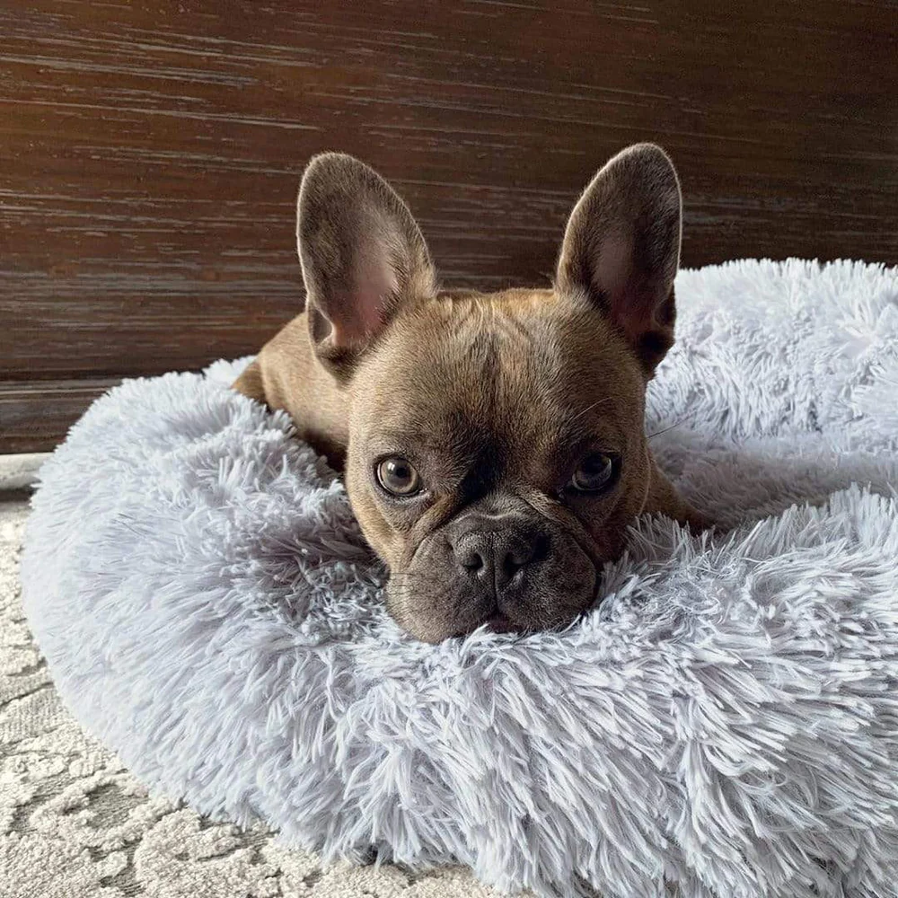 Anti Anxiety Calming Dog Bed | Premium Comfort Home & Lifestyle Product UK