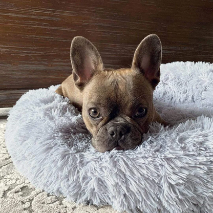 Anti Anxiety Calming Dog Bed | Premium Comfort Home & Lifestyle Product UK