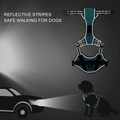 Personalized Canine Comfort Harness | Premium Comfort Home & Lifestyle Product UK