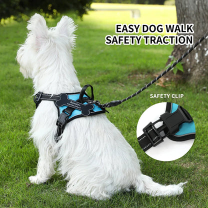 Personalized Canine Comfort Harness | Premium Comfort Home & Lifestyle Product UK