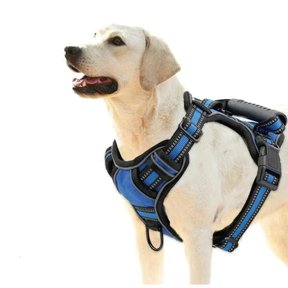 GlowGuard Reflective Comfort Harness | Premium Comfort Home & Lifestyle Product UK
