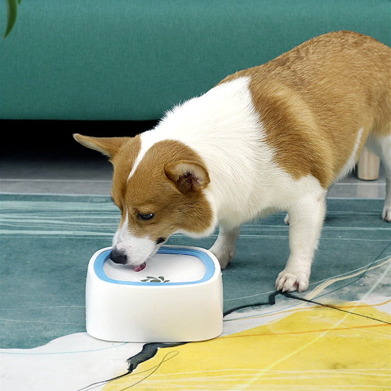 Pet No Spill Water Bowl | Premium Comfort Home & Lifestyle Product UK