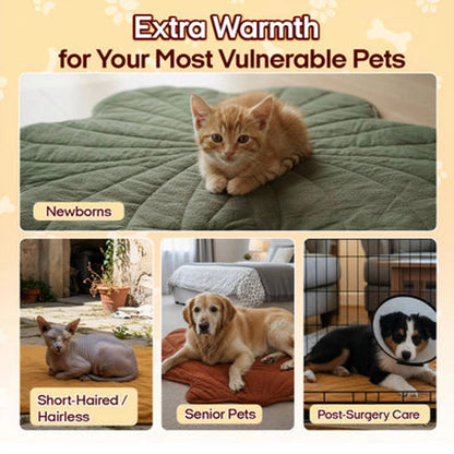 Heated Cat Bed – Winter Warm Cave Bed Cat House & Outdoor Cat Shelter with Adjustable Heating Pad (3 Levels) | Premium Comfort Home & Lifestyle Product UK