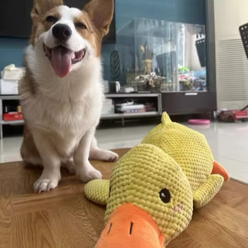 Tough Duck Calming Chew Toy | Premium Comfort Home & Lifestyle Product UK