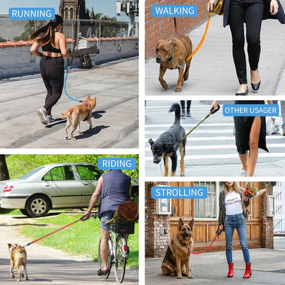 GlowFlex Dog Leash | Premium Comfort Home & Lifestyle Product UK