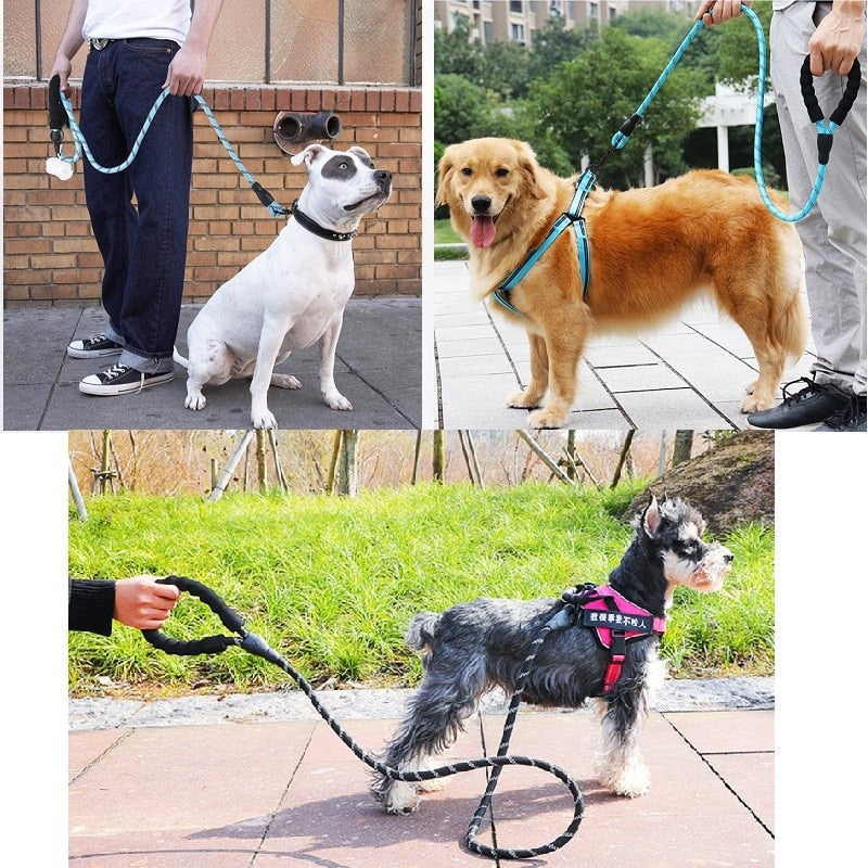 Premium Reflective Leash | Premium Comfort Home & Lifestyle Product UK