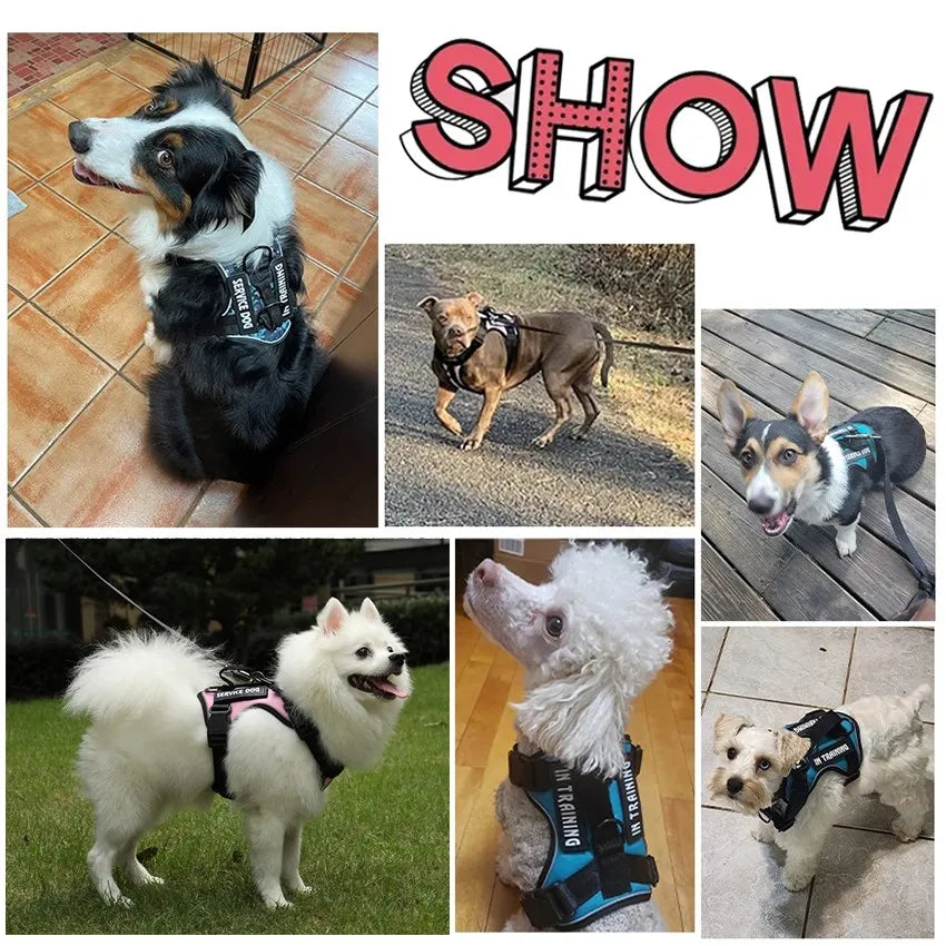 TacticalTailor Dog Harness | Premium Comfort Home & Lifestyle Product UK