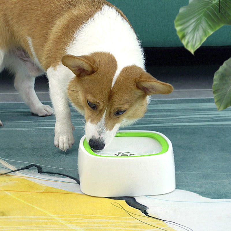 Pet No Spill Water Bowl | Premium Comfort Home & Lifestyle Product UK