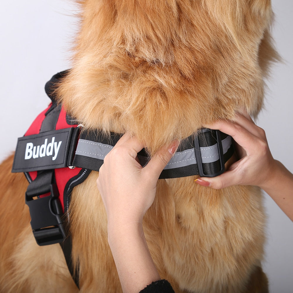 Personalized No Pull Dog Harness | Premium Comfort Home & Lifestyle Product UK