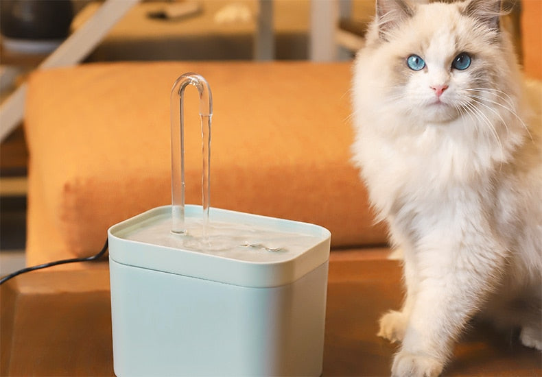 Vet Recommended Cat Water Fountain | Premium Comfort Home & Lifestyle Product UK